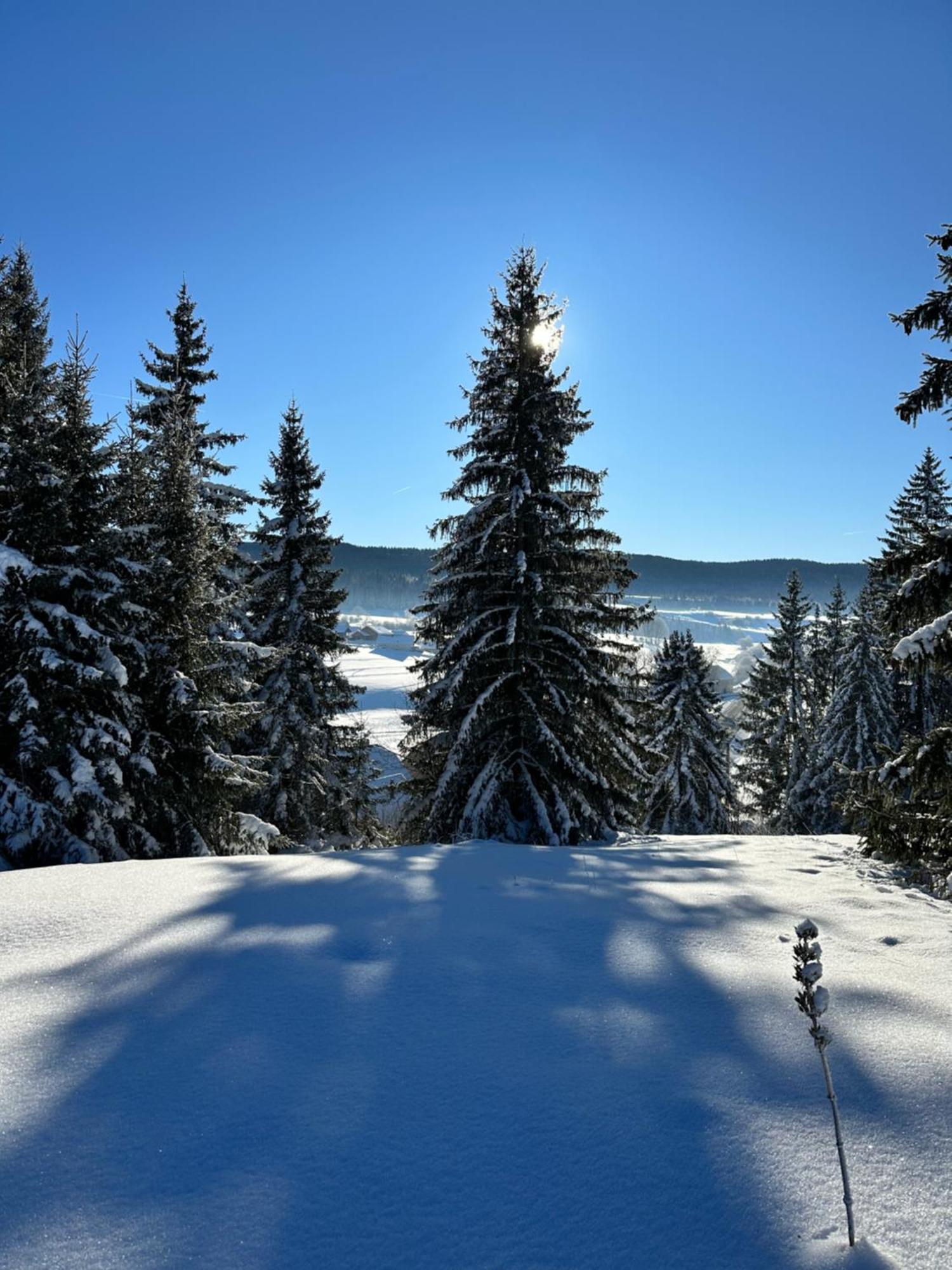 Le Belvedere Des Deux Lacs Le Brey et Maison du Bois Exterior foto